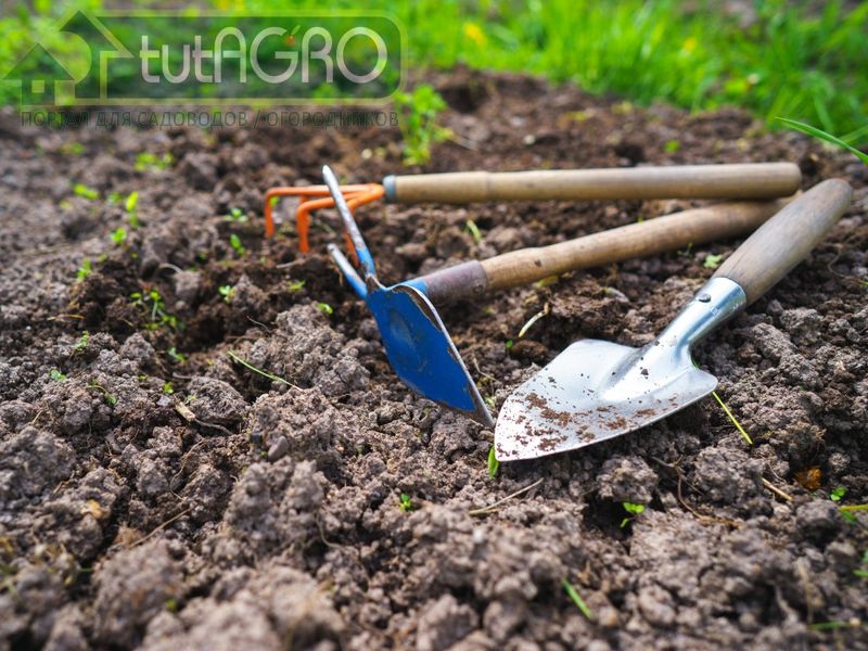 Био-очистка почвы Био-очистка почвы - AGROzen