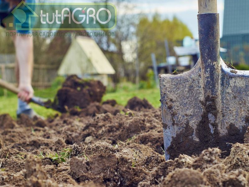 Удобрения под перекопку - AGROzen