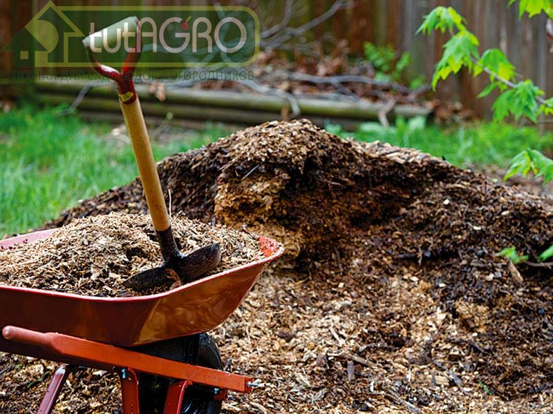 Конский навоз - AGROzen