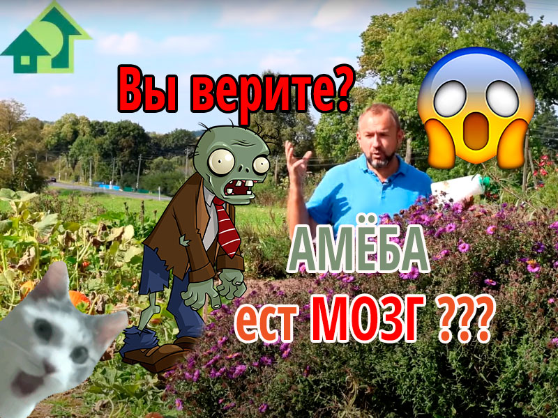 Поедает ли опасная амёба мозг простых россиян? Или это кто-то другой? Можно ли заразиться опасными и не очень инфекциями через свой огород? Ответы тут! Кто поедает ваш мозг?