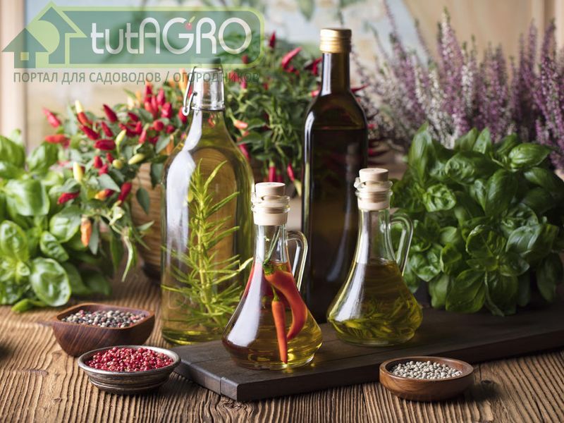 Рецепты здоровья и долголетия - AGROzen