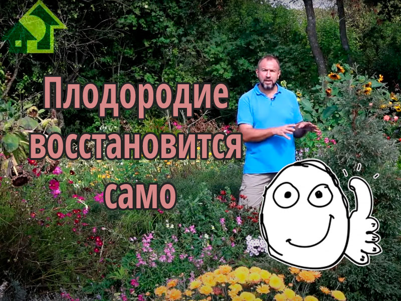 Плодородие восстановится само по этой схеме. Смотрите новый выпуск Ивановой науки! Восстановление почвы за 1 сезон