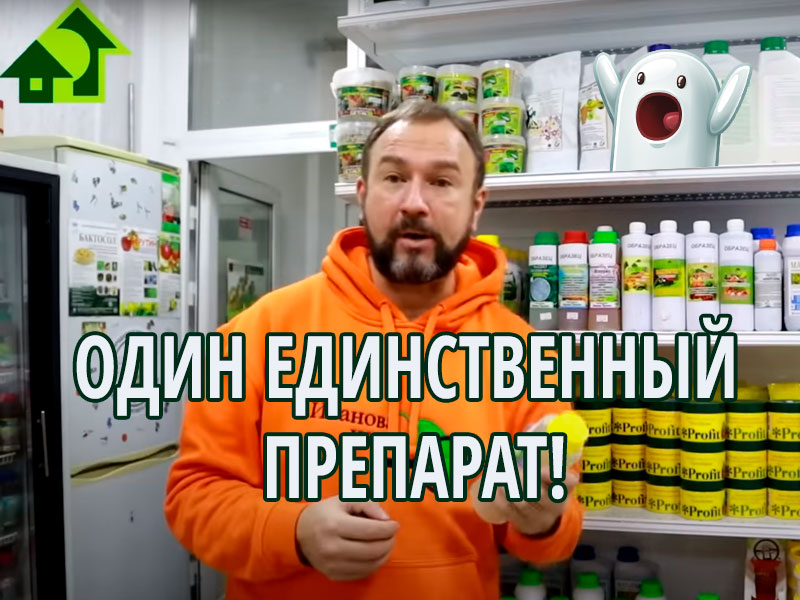 А чем бы это таким полить или опрыскать, чтобы одним, но от всего? Фантастика? Нет! Есть такой препарат! О нем пойдет речь в этом выпуске. Препарат от черной ножки, фитофторы, ржавчины и слизней