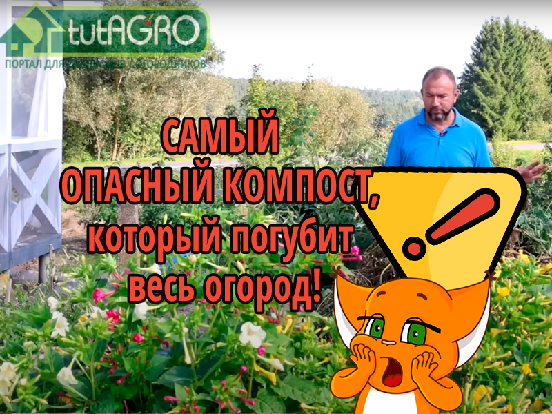 Как сделать максимальный компост? Вали все в кучу и оно само перегниет. В общем-то, да... Но и нет. Есть одна опасность (и это не гербицид Лонтрел - это вторая опасность), которая делает ваш компост сверхопасным для ваших растений. Как не сделать опасный компост своими руками - смотрите в этом выпуске. Как НЕ сделать опасный компост?