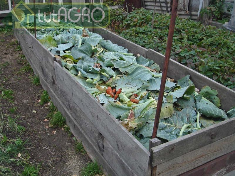 Как ботву превратить в биозащиту - AGROzen