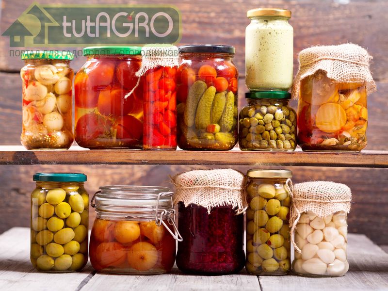 Консервы без плесени - AGROzen