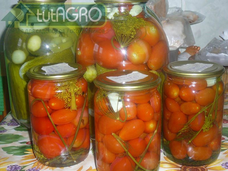 По сравнению с консервами промышленного производства, домашние содержат меньше соли, сахара и уксуса - AGROzen