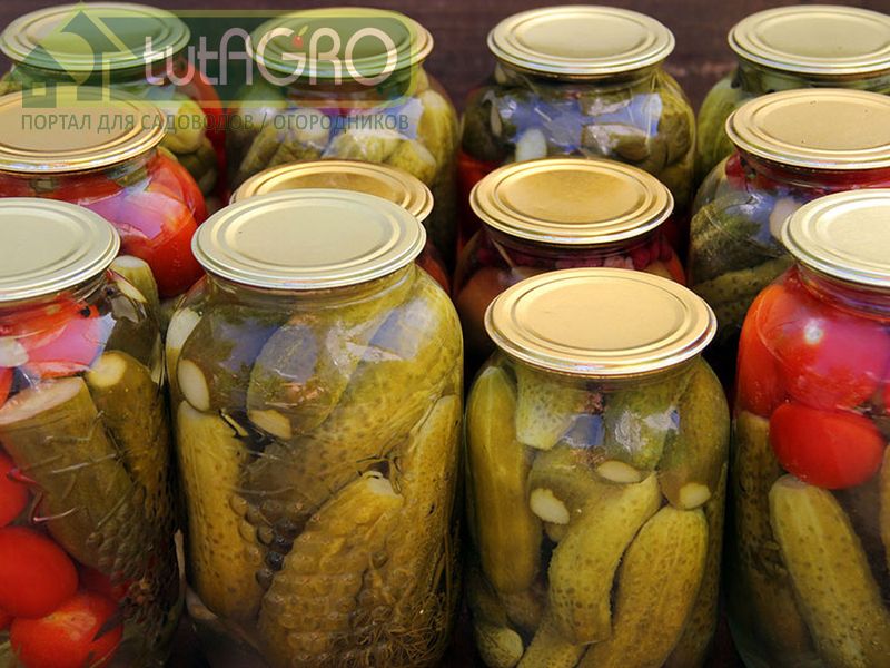 Очень важным фактором сохранности домашних консервов является строгое соблюдение рецептуры - AGROzen
