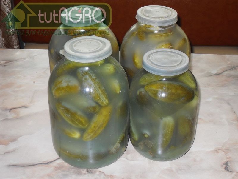 Консервы надо как можно герметичнее укупоривать - AGROzen