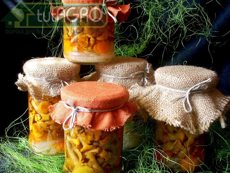 Свежие грибы быстро портятся, поэтому их следует использовать как можно скорее - AGROzen