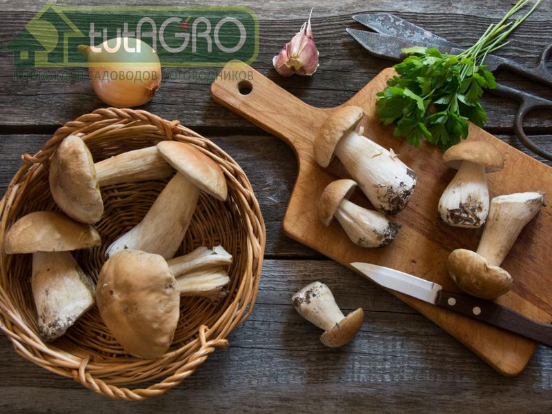 Маринованные боровики - AGROzen