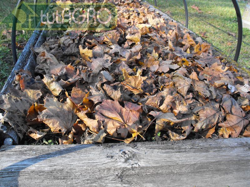 Мульчирование - это укрытие поверхности почвы различными материалами - AGROzen