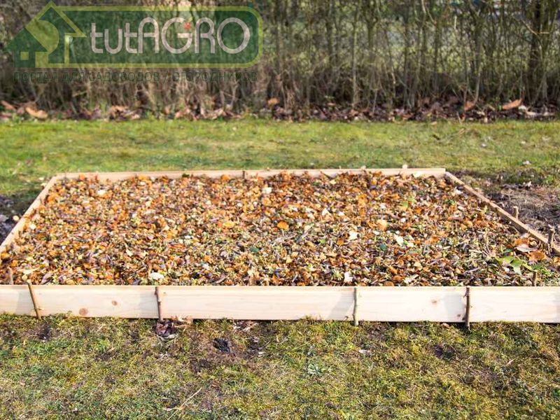 При мульчировании любых посадок позаботьтесь о защите грядок от мышей - AGROzen