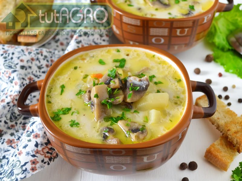 Овощной пшенный суп - AGROzen