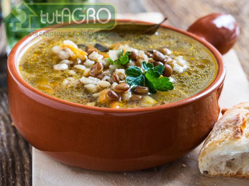 Ячменный суп с чечевицей - AGROzen