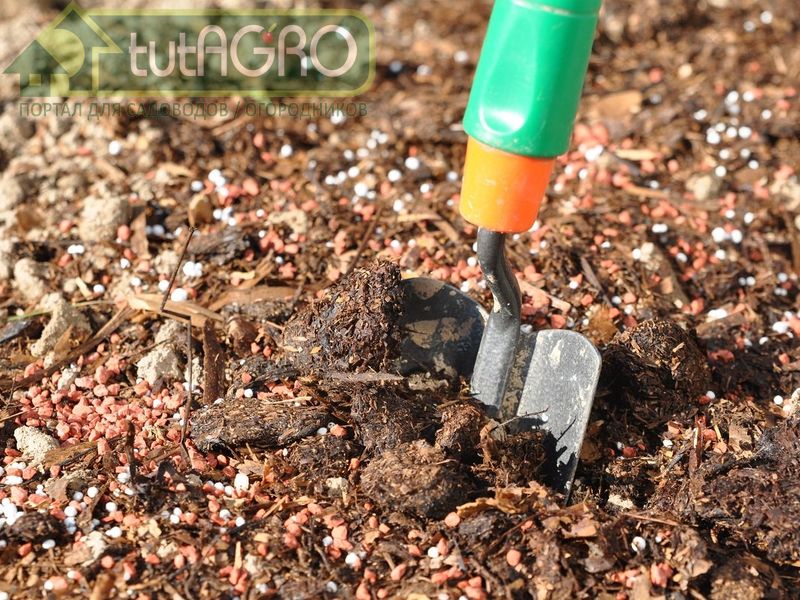 В некоторых случаях без перекопки не обойтись - AGROzen