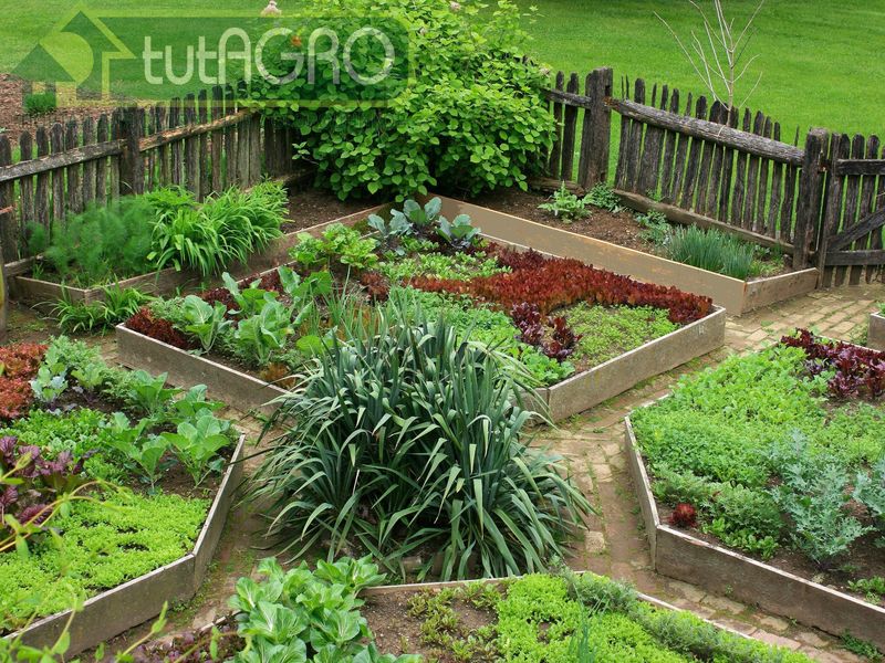 В период роста овощных растений лучшая защита от сорняков - мульча - AGROzen