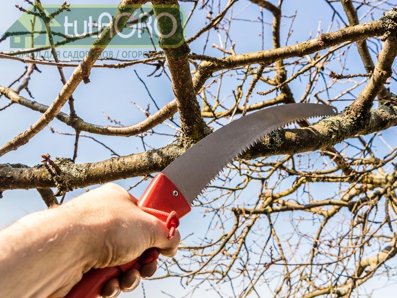 Шаг к легкой жизни - AGROzen