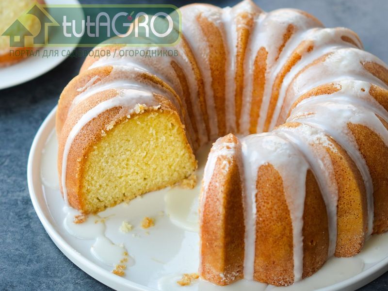 Лимонный кекс с сиропом - AGROzen