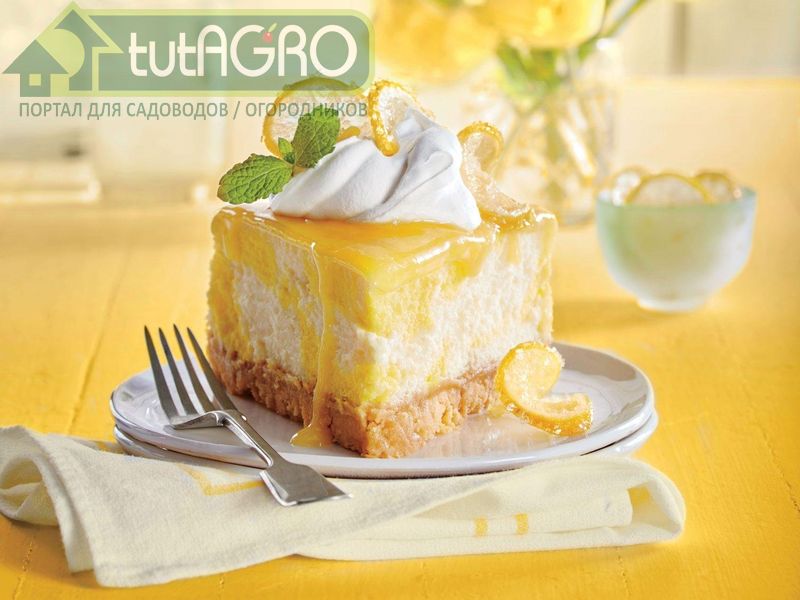 Рецепты лимонного пирога - AGROzen