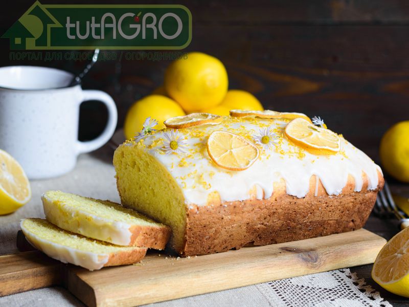 Рецепты лимонного пирога – сочные и универсальные - AGROzen