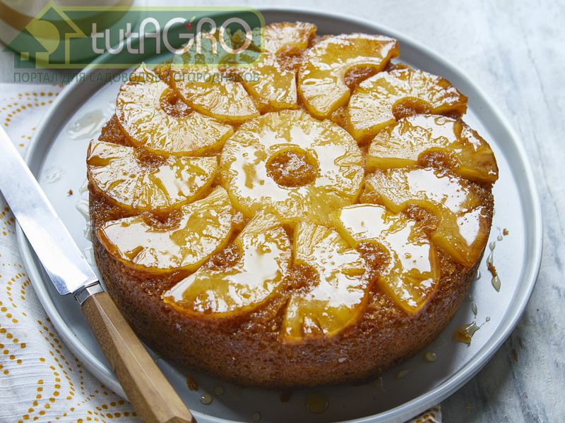 Ананасовый торт-перевертыш - AGROzen
