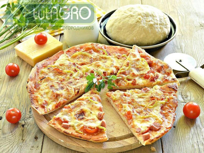 Хрустящая пицца по-сицилийски - AGROzen