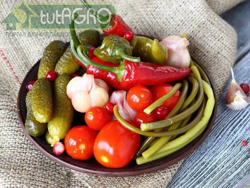 Квашенные овощи - AGROzen