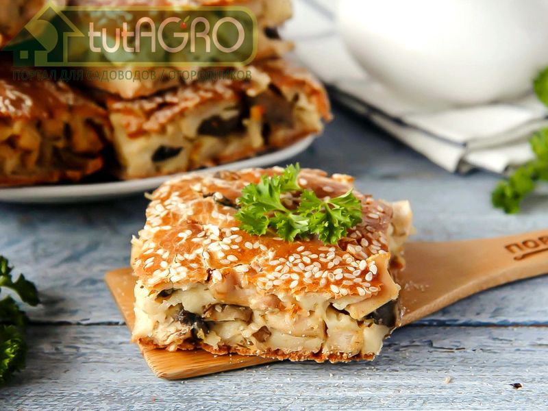 Крестьянский пирог - AGROzen