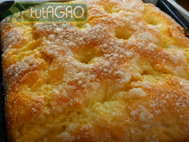 Масляный пирог - AGROzen