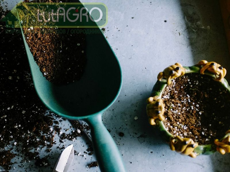 Био-гумат по рецепту Ивана Русских - AGROzen