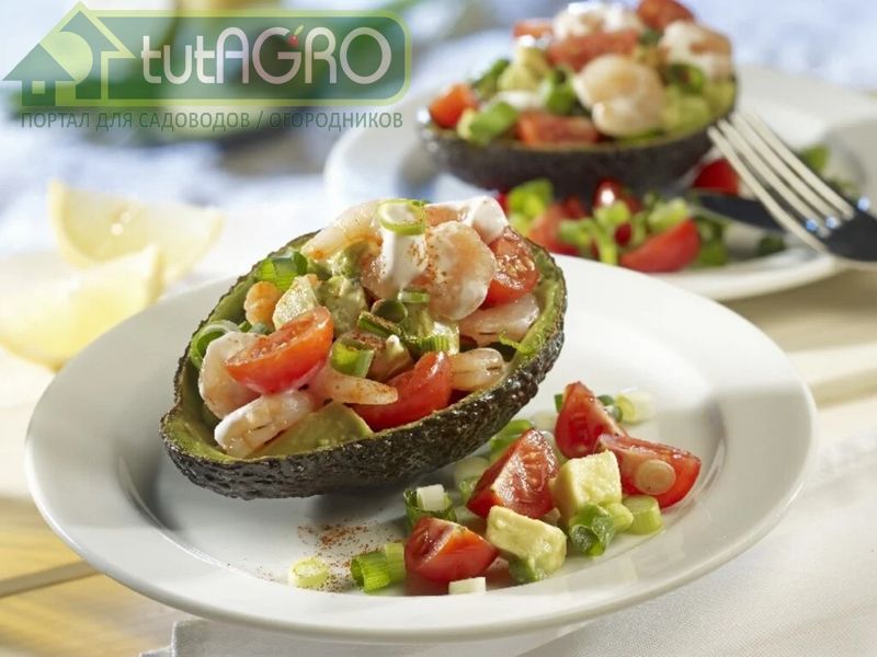 Салат из авокадо с креветками - AGROzen