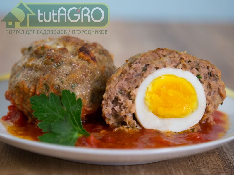 Клёпс - AGROzen