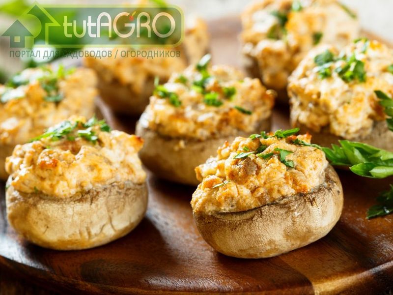 Фаршированные шампиньоны - AGROzen