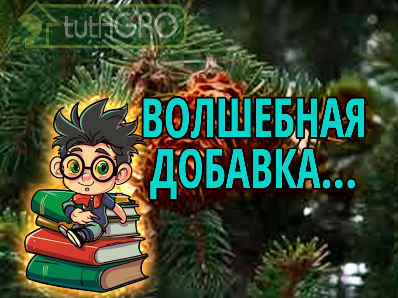 Как сделать хороший грунт для рассады? Что добавить в грунт? Как не покупать почву для рассады, а сделать самому? Как сделать качественную мульчу? Как использовать шишки из леса? Как устроить отличный дренаж для посадки растений? Как избавиться от черных мушек в горшках? Как и чем мульчировать землянику? Забирают ли шишки из почвы азот? Как улучшить мульчу, дренаж и добавку из шишек? Ответы на эти вопросы вы получите в этом выпуске. Всего одна горсть улучшит любую землю!