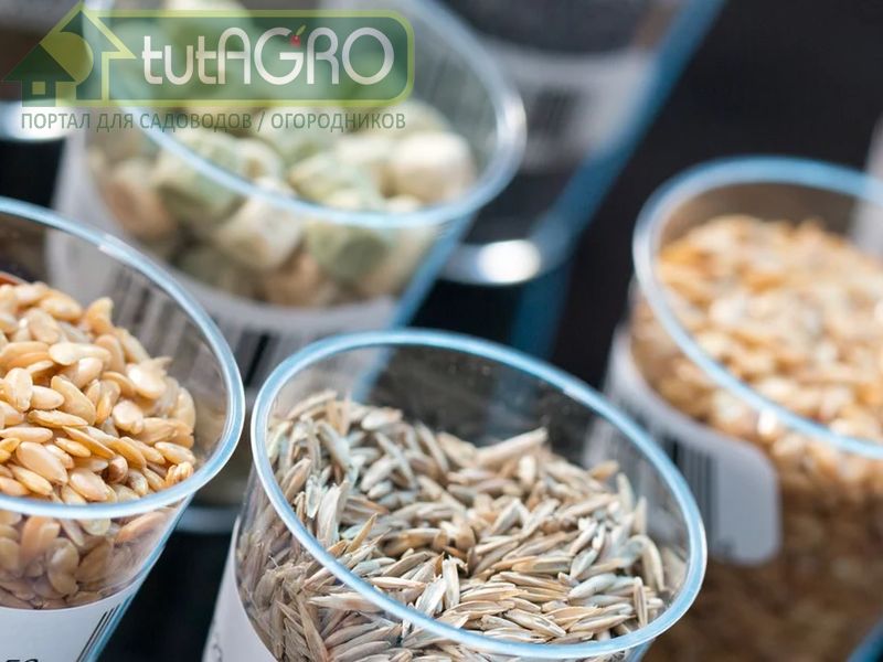 К стратификации готовы? - AGROzen