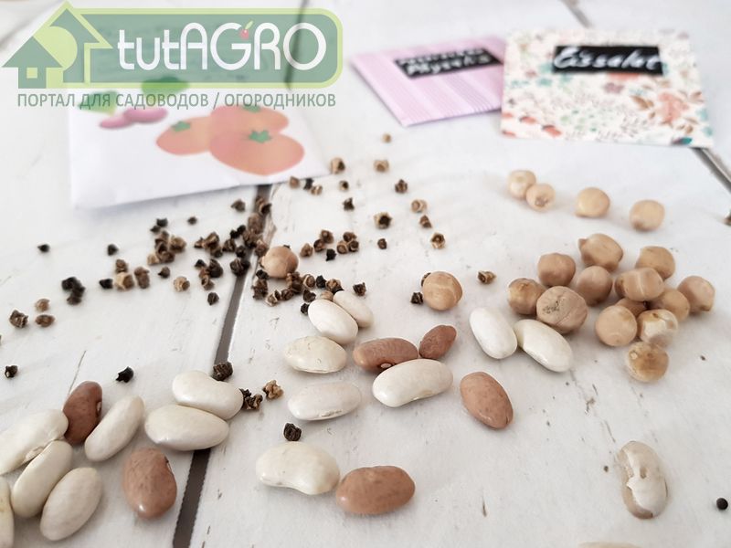 Даже у тех, кто старается строго следовать инструкциям по хранению семян, чтобы сохранить их всхожесть, возникают проблемы - AGROzen