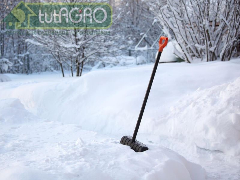 Польза от мороза - AGROzen