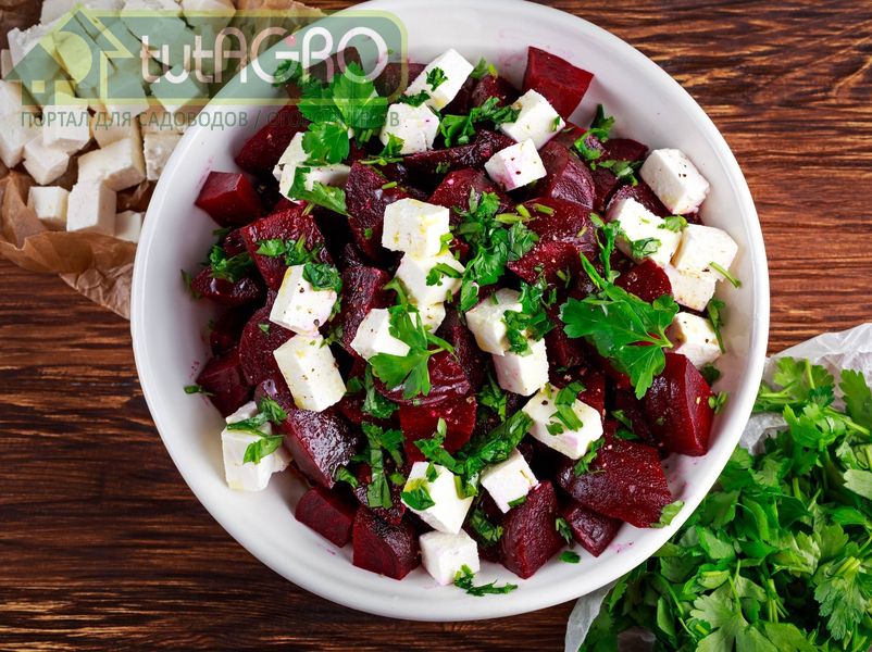 Ароматный фасолевый салат - AGROzen