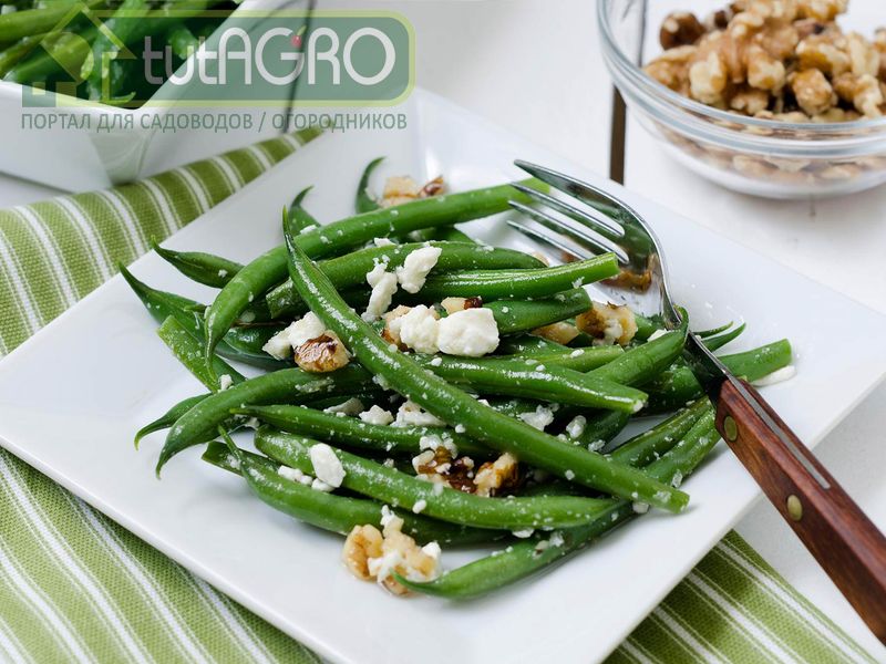 Блюда из спаржевой фасоли - AGROzen