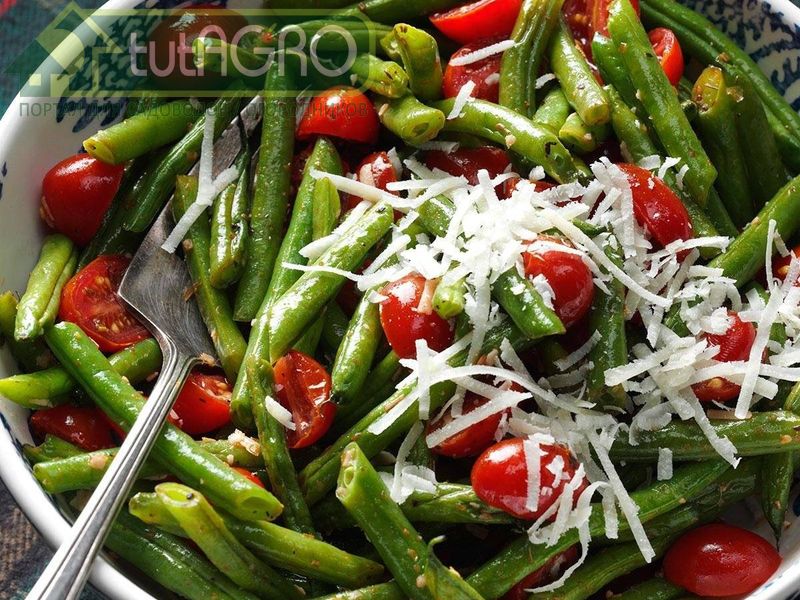 Теплый салат из фасоли - AGROzen