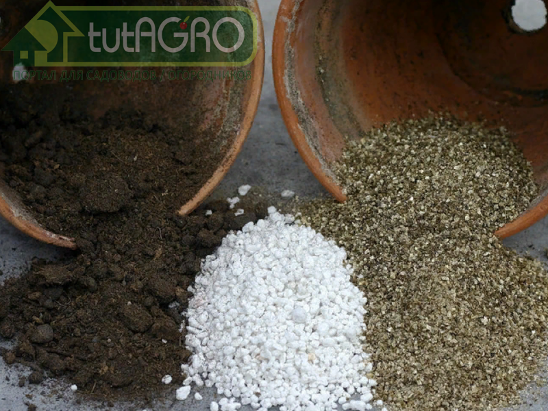 Далеко не всегда огородная почва может порадовать своим составом и консистенцией - AGROzen