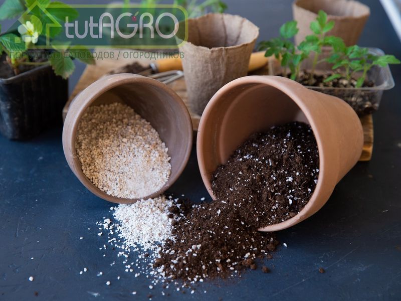 Перлит и вермикулит - исключительно натуральные продукты - AGROzen