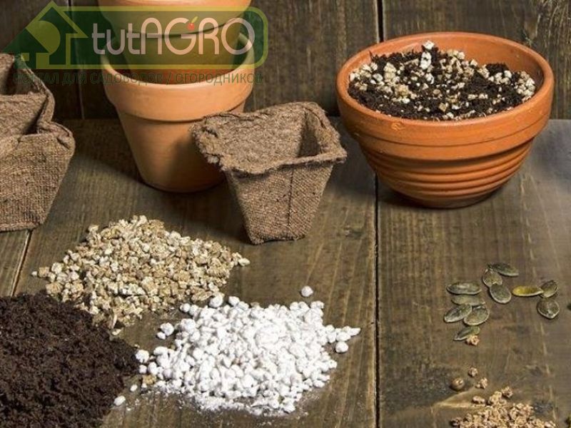 Перлит и вермикулит - лучшие добавки к субстрату, предназначенному для посева семян - AGROzen