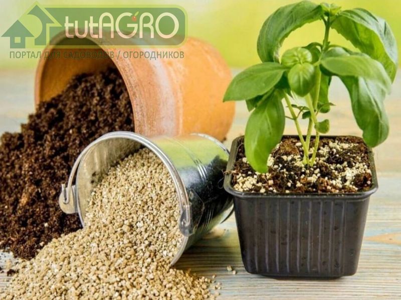Идеальная добавка к почве. Перлит и вермикулит - AGROzen