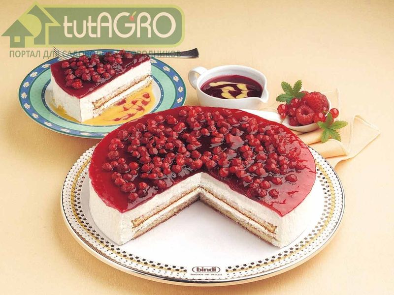 Новогодний чизкейк - AGROzen