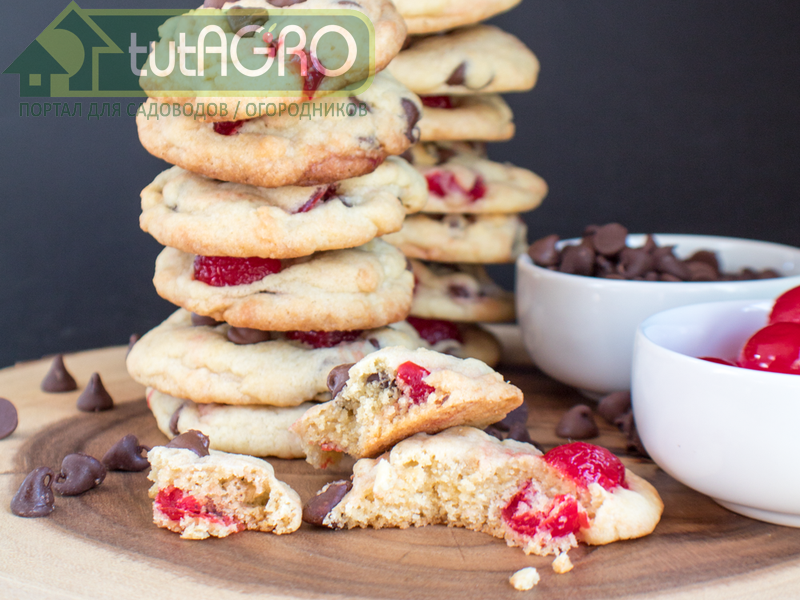 Печенье праздничное - AGROzen