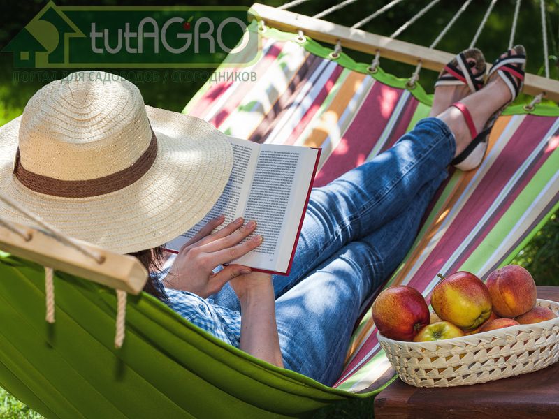 Знание - сила! - AGROzen