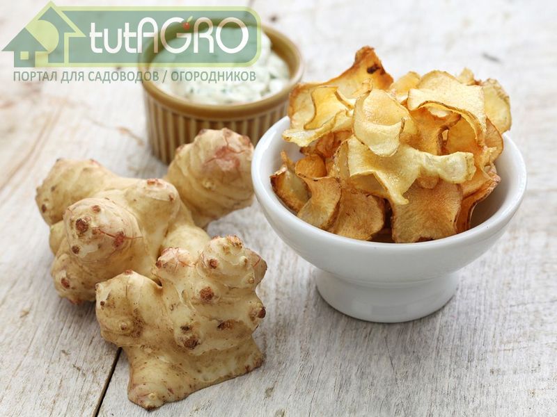 Чипсы - AGROzen