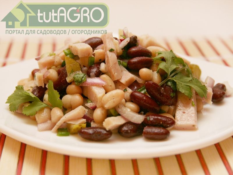 Салат Свежесть - AGROzen